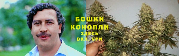 гидра Ступино