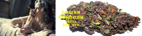 твердый Сясьстрой