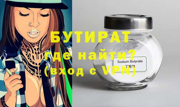 индика Елизово