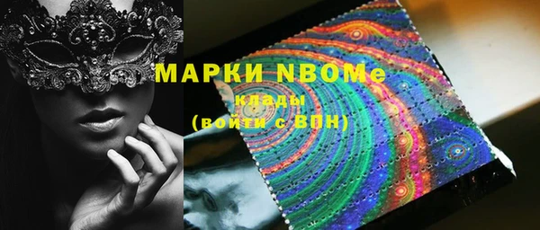 твердый Сясьстрой
