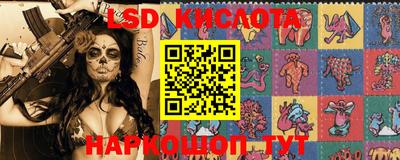 гашик Краснознаменск