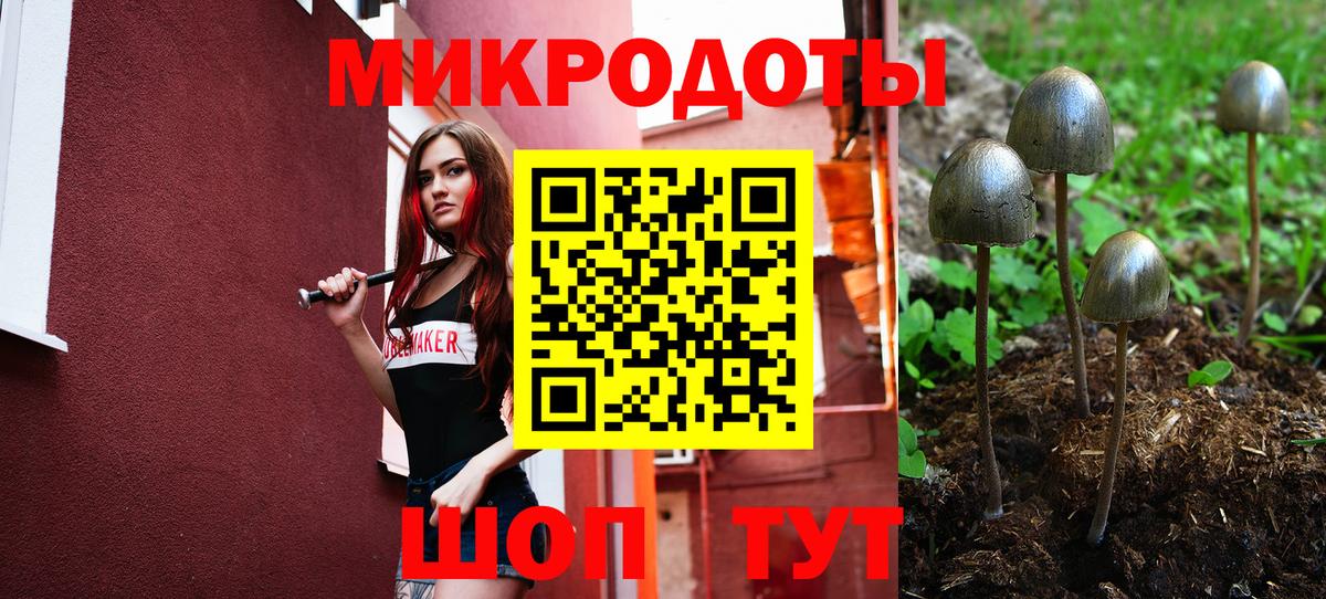 Галлюциногенные грибы Cubensis Углич