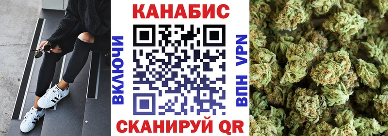 купить   Углич  Конопля сатива 